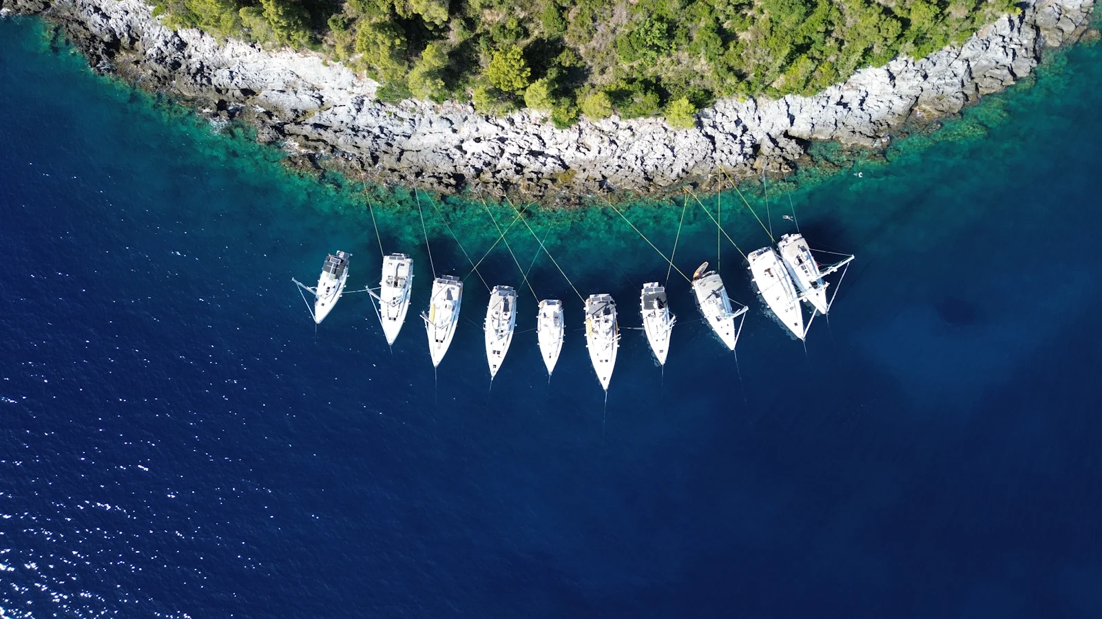 A row of sailboats moored side by side off a rocky, wooded shore